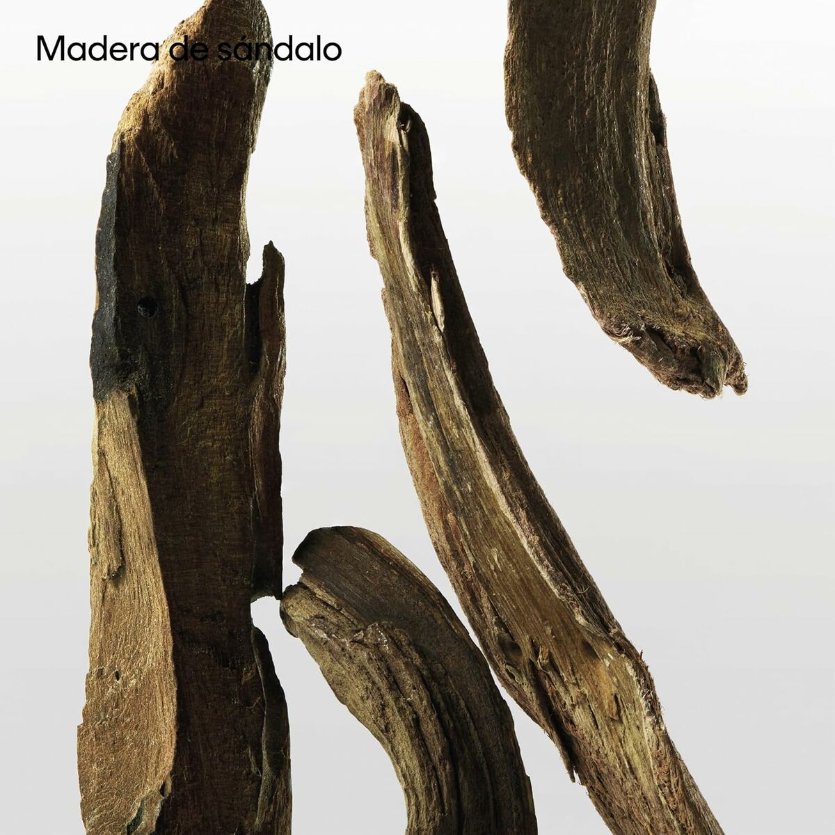 V2H326299D38D33FC3D983EDE57975D8C0ER7125026P10